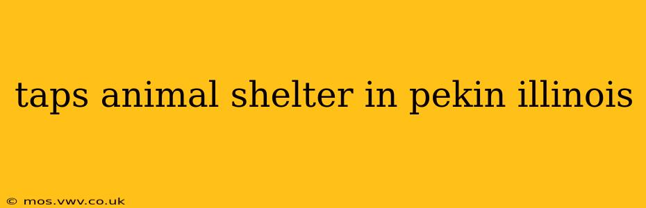 taps animal shelter in pekin illinois
