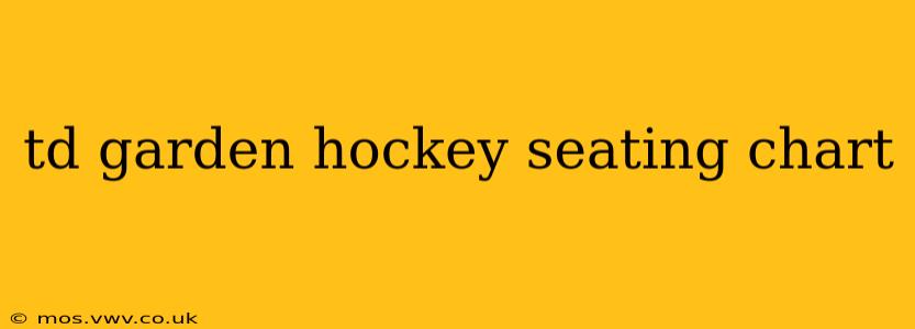 td garden hockey seating chart