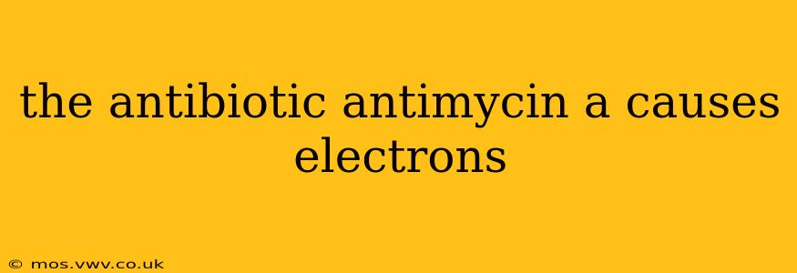 the antibiotic antimycin a causes electrons