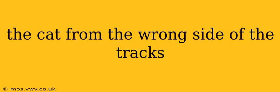 the cat from the wrong side of the tracks