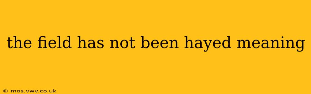 the field has not been hayed meaning