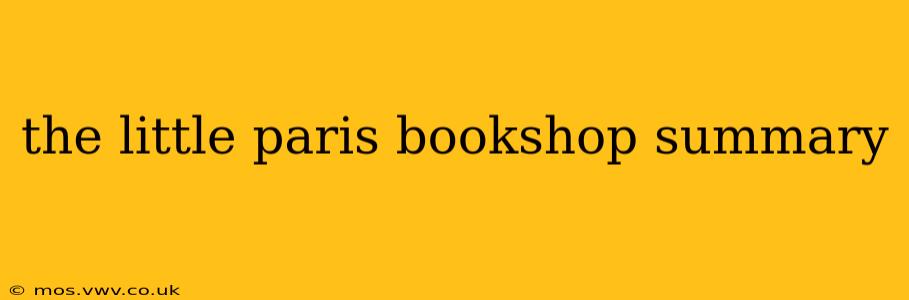 the little paris bookshop summary