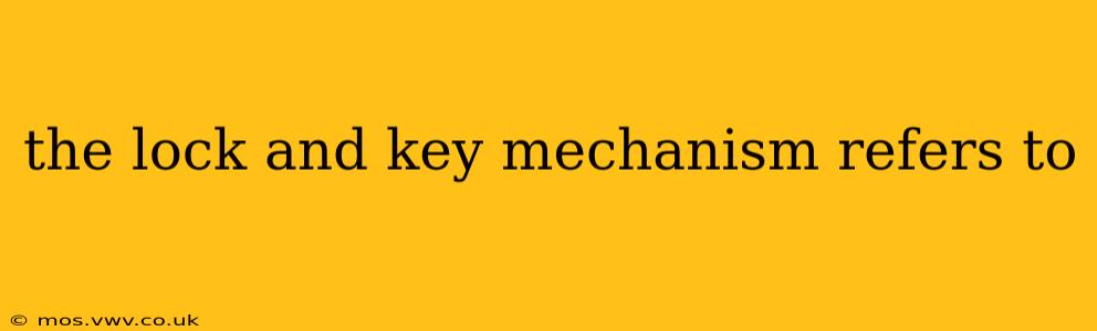 the lock and key mechanism refers to