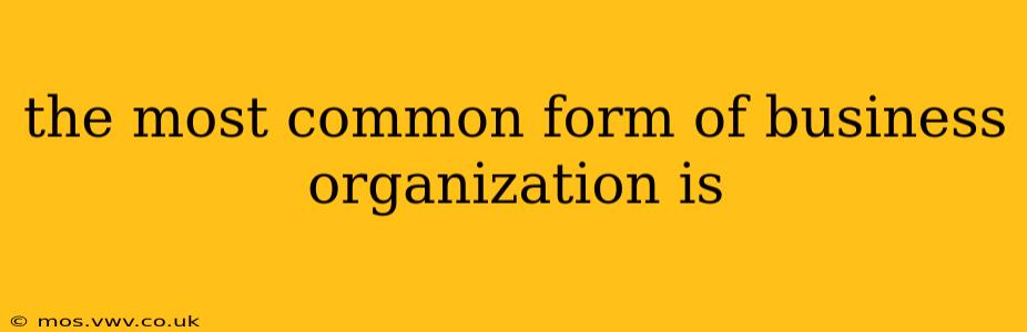 the most common form of business organization is