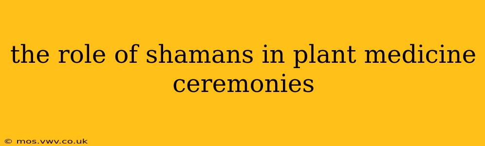the role of shamans in plant medicine ceremonies