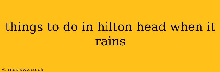 things to do in hilton head when it rains
