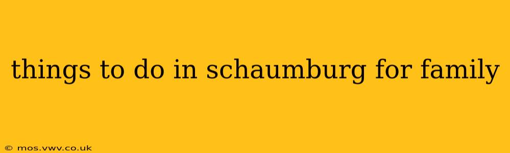 things to do in schaumburg for family