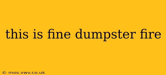 this is fine dumpster fire