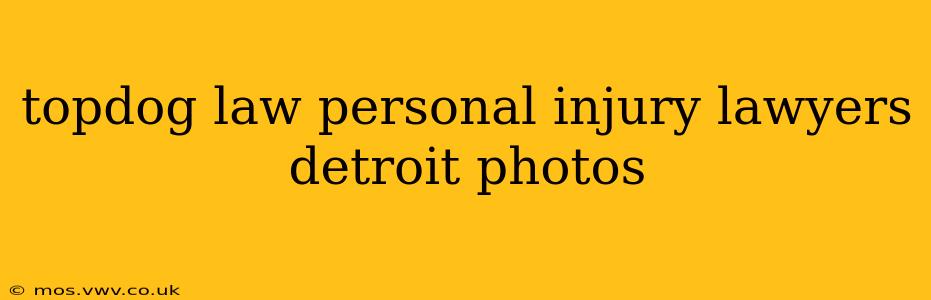 topdog law personal injury lawyers detroit photos