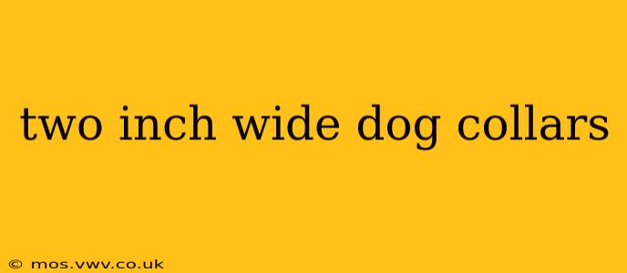 two inch wide dog collars