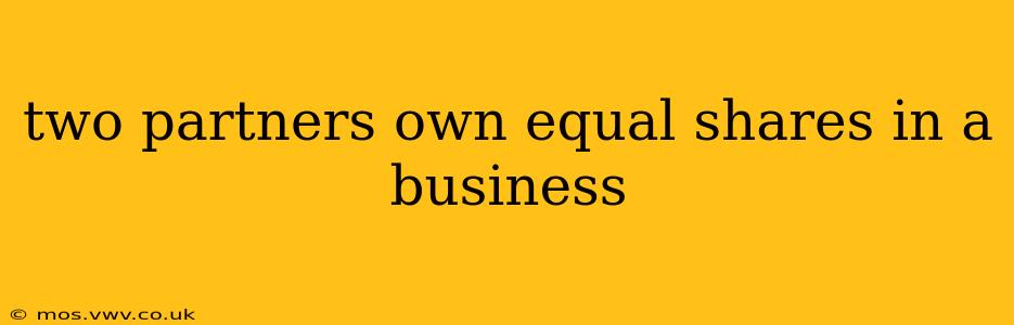 two partners own equal shares in a business