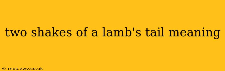 two shakes of a lamb's tail meaning