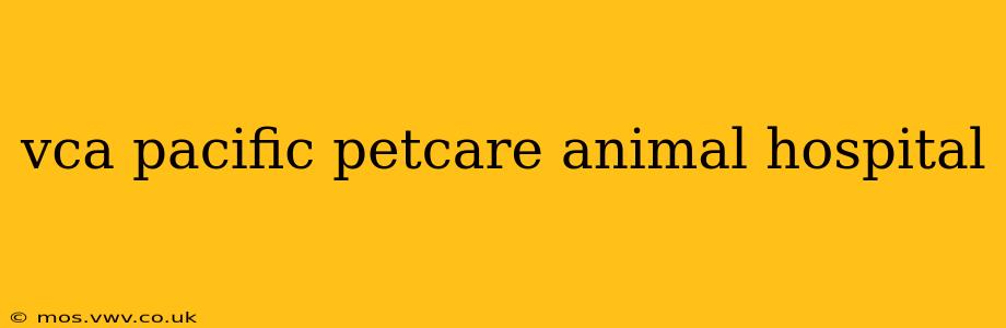 vca pacific petcare animal hospital