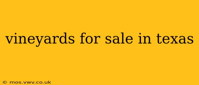 vineyards for sale in texas