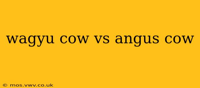 wagyu cow vs angus cow