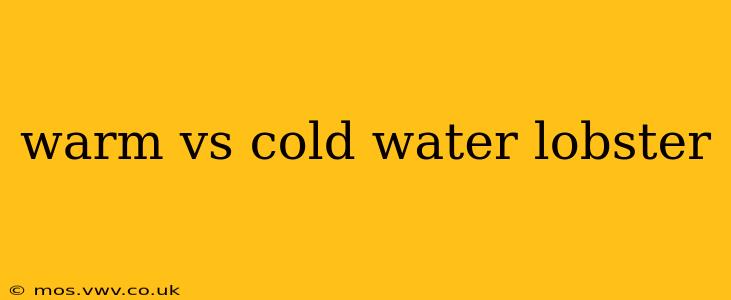 warm vs cold water lobster