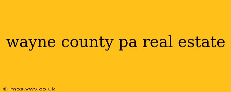 wayne county pa real estate