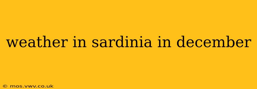 weather in sardinia in december
