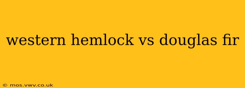 western hemlock vs douglas fir