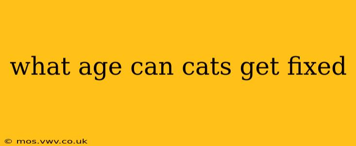 what age can cats get fixed