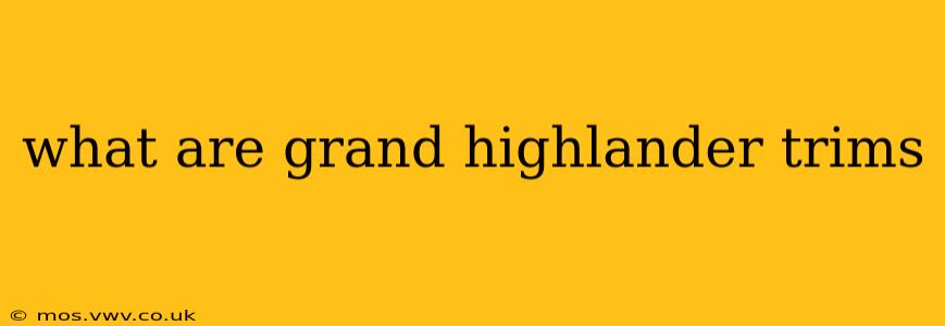 what are grand highlander trims
