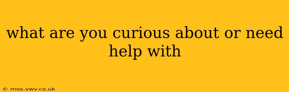 what are you curious about or need help with
