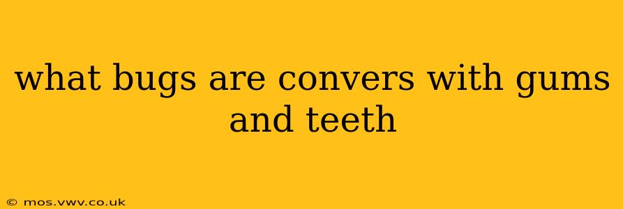 what bugs are convers with gums and teeth