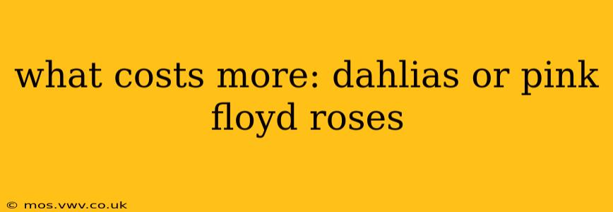 what costs more: dahlias or pink floyd roses