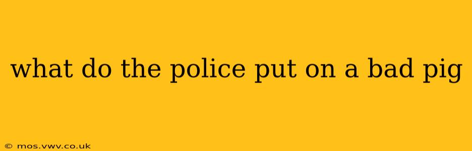 what do the police put on a bad pig