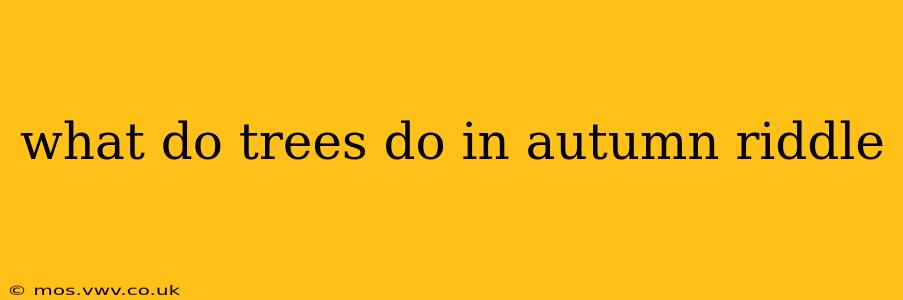 what do trees do in autumn riddle