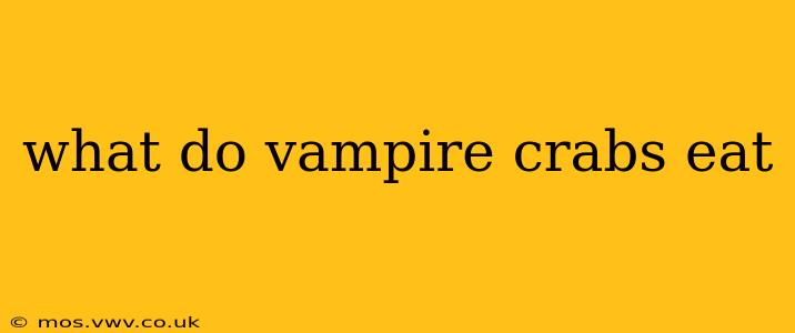 what do vampire crabs eat