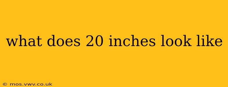what does 20 inches look like