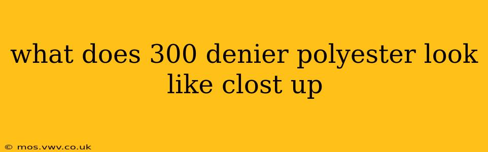 what does 300 denier polyester look like clost up