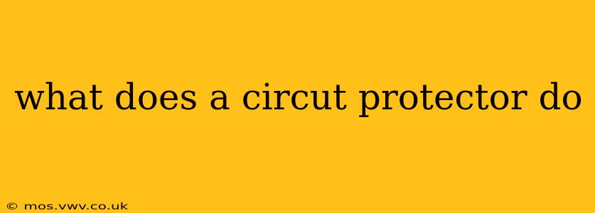 what does a circut protector do