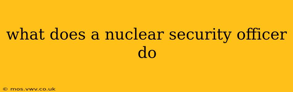 what does a nuclear security officer do