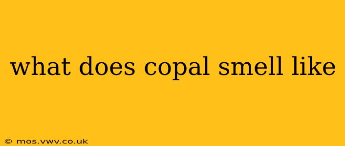 what does copal smell like