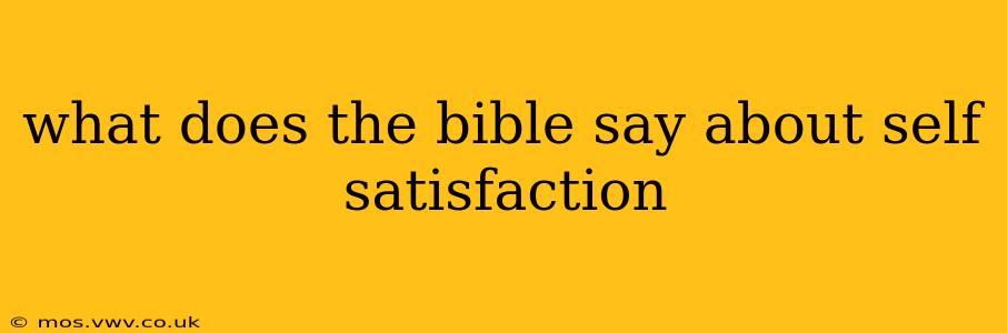 what does the bible say about self satisfaction