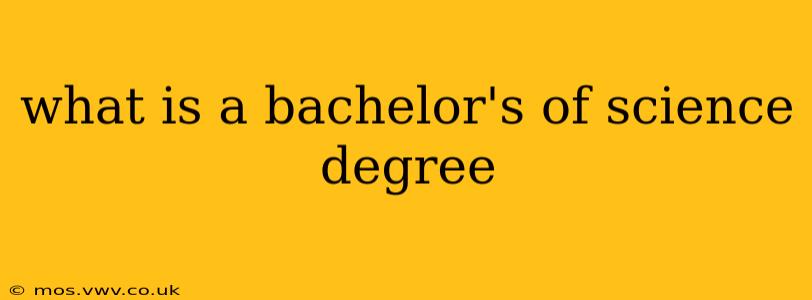 what is a bachelor's of science degree