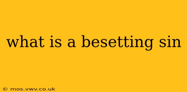 what is a besetting sin