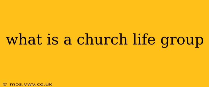 what is a church life group