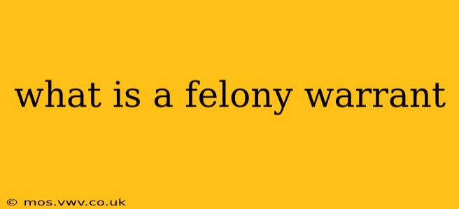 what is a felony warrant