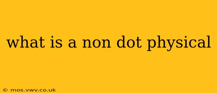 what is a non dot physical