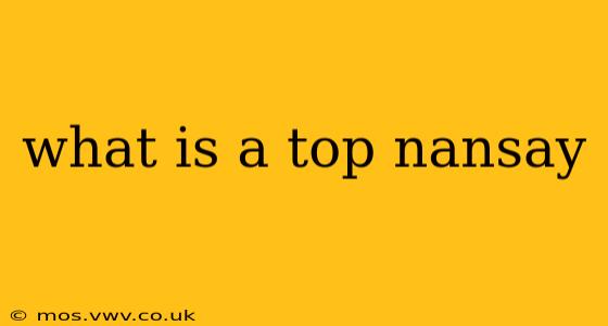 what is a top nansay