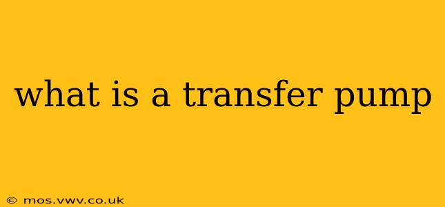 what is a transfer pump