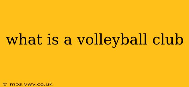 what is a volleyball club