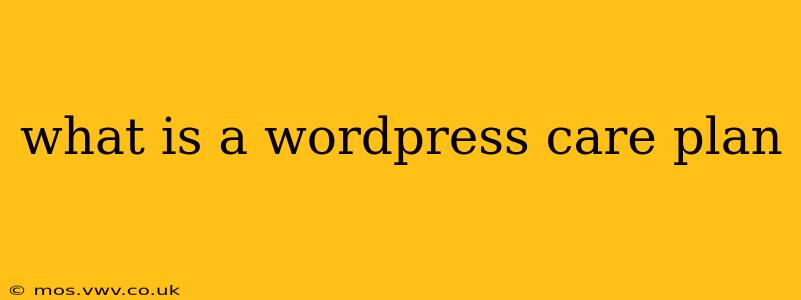 what is a wordpress care plan