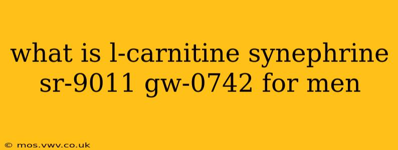 what is l-carnitine synephrine sr-9011 gw-0742 for men