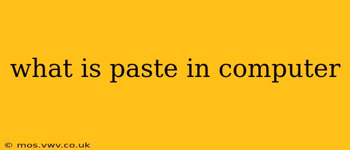 what is paste in computer