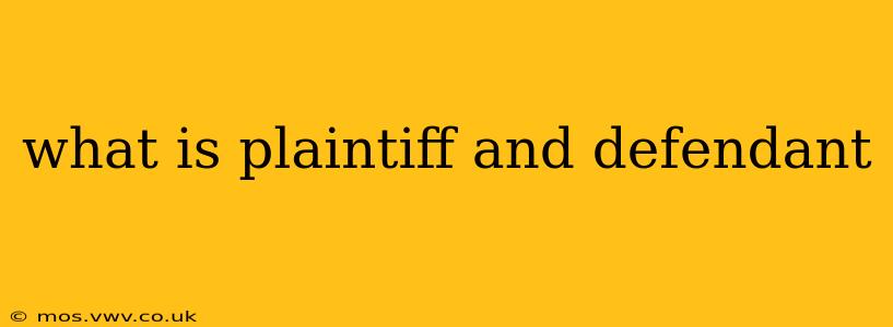what is plaintiff and defendant