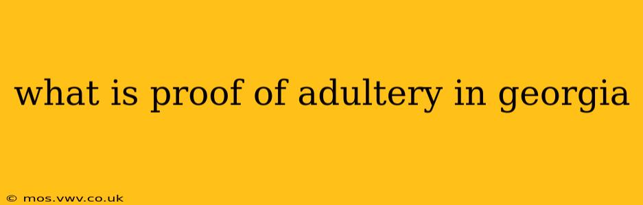 what is proof of adultery in georgia